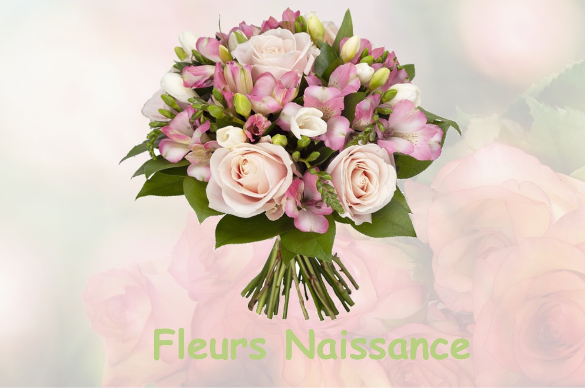 fleurs naissance LE-BOULLAY-LES-DEUX-EGLISES