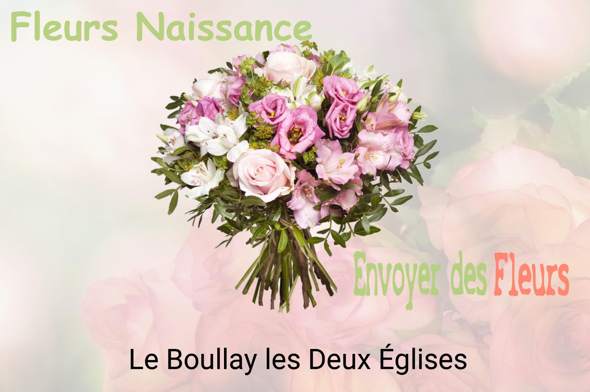 Bouquet de fleurs de naissance livré à Le Boullay-les-Deux-Églises